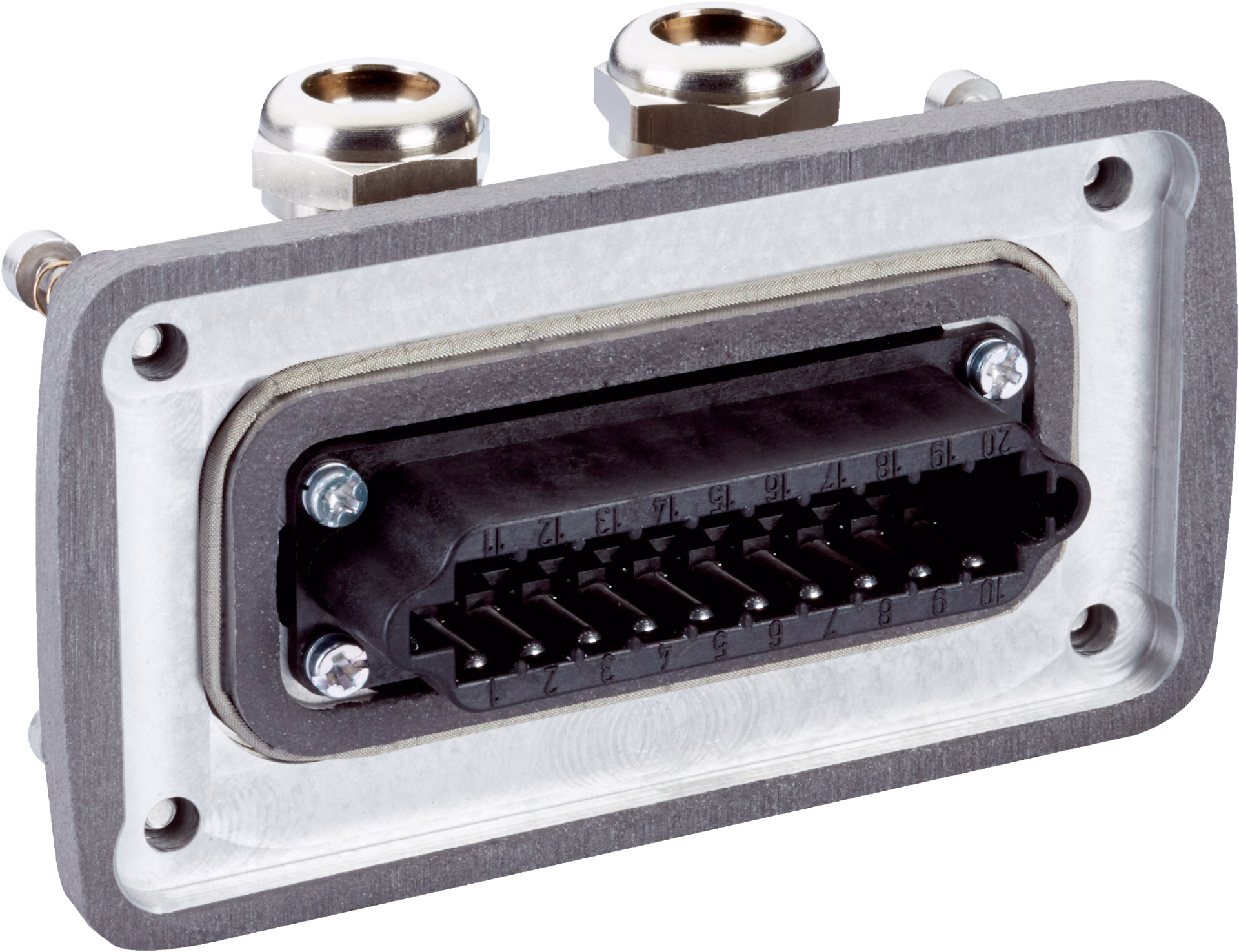 Male connector (ready to assemble)